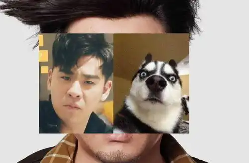 表情张云雷之萌宠表情包来袭你最喜欢哪一张图片表情