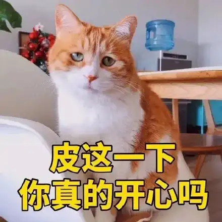美好的一天从发表情包开始