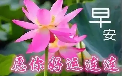 12月26日漂亮早安祝福问候语动态表情图片,暖心早晨好问候祝福短信