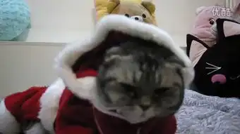 穿靴子的猫英文版