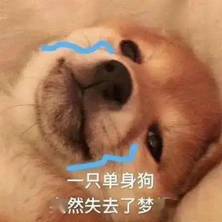 单身狗必备表情包美女只能孤芳自赏