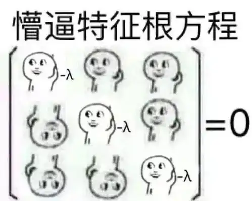 院部动态丨数学与统计学学院带你钻进数统人的日常