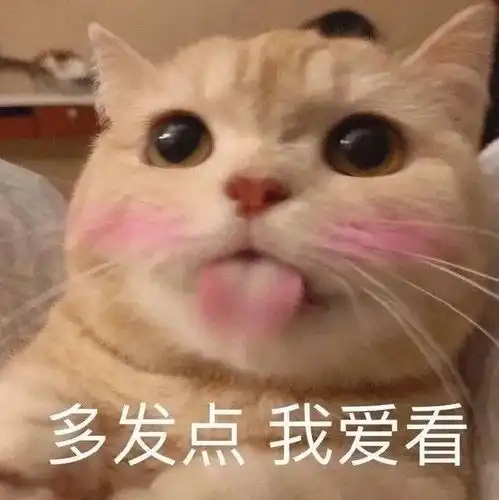 沙雕表情包69.0