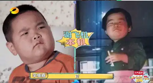 元气满满的哥哥杨洋李一桐展开追逐战王耀庆喜提猪队友