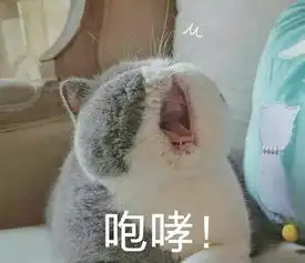 你相亲遇到过哪些奇葩事