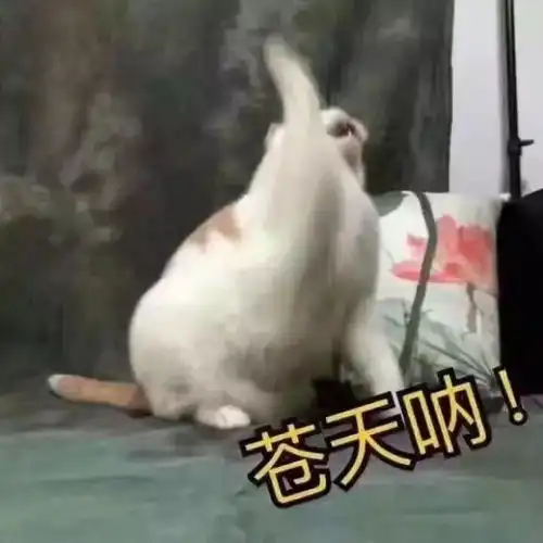 陌生男子霸座抱起9岁女孩坐腿上,女乘务员怒吼你把裤子拉链拉上