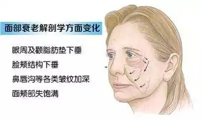 摆脱皱纹困扰,做回年轻的自己