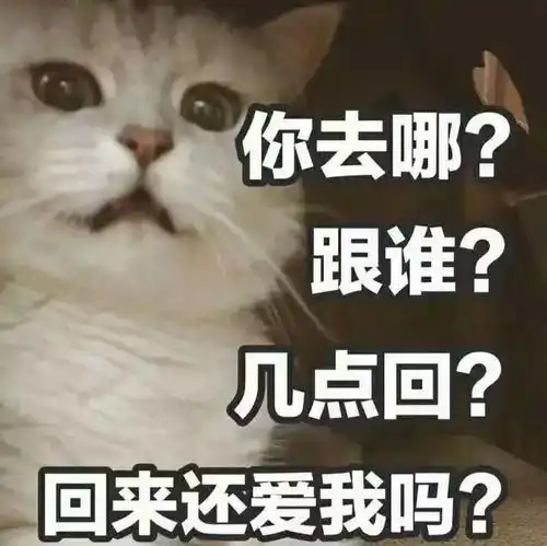有哪些适合发说说的沙雕句子