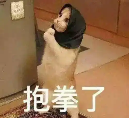 猫为什么能跳这么高大概是它们天赋异禀吧