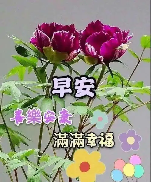8张非常有创意好看的早安早上好图片带祝福语3月温馨的春天大家早上好问候祝福图片精选