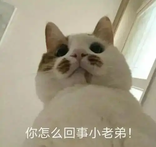 我自闭了人间不值得,2018年度10大流行语竟如此佛系丨独家英译