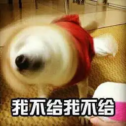 这四个星座是斗图狂魔,一言不合就飙戏讲段子,网友神准啊