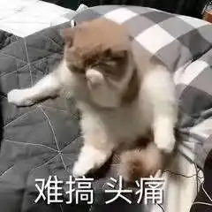 吃鱼不挑刺高校重大突破网友能不能让小龙虾别长头