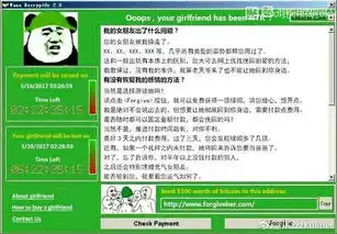 比特币勒索病毒恶搞表情图片