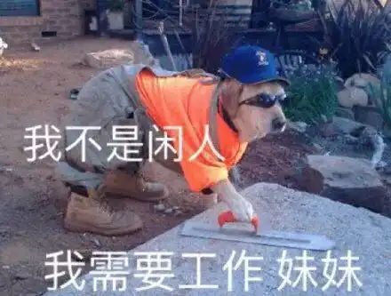 提升自我和赚钱,不是一回事儿