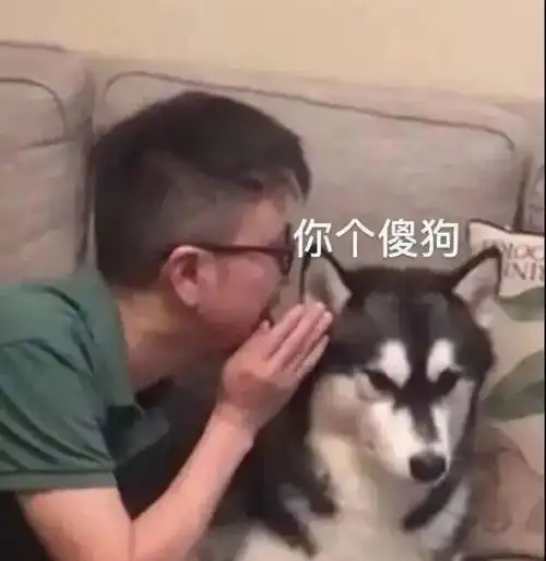 沙雕表情包动图年纪太大,不好骗了