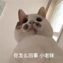 小三花一块钱买光丈夫所有股权原配妻子怒了