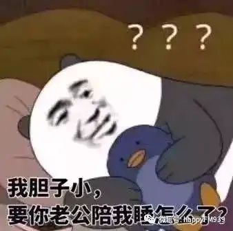 1月3日节目精编