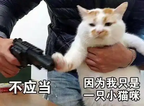 收藏夹