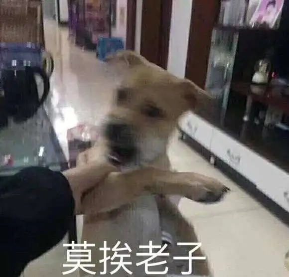 莫挨老子是什么意思高清表情包大全分享