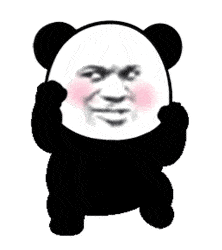 表情抖音超火的动态熊猫头表情包