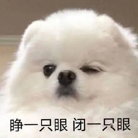 网曝央视撒贝宁听不懂东北话还差点扭送运动员去当模特哈哈哈哈哈