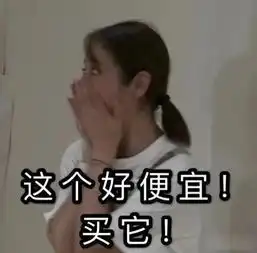 小米忍不住再次出手,史上最大神秘彩蛋来袭网友雷总太良心