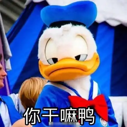 唐老鸭约人表情包今天吃什么鸭求安排鸭什么时候出去玩鸭