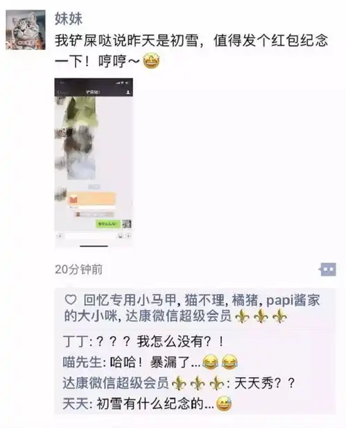 猫咪的朋友圈原来是这样的,这猫咪塑料姐妹情,我真的笑了