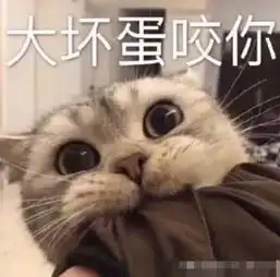 野蛮女友表情包上线了,踢几个过去,还怕他不乖乖听话