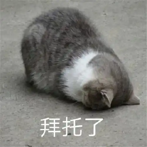 继鸿星尔克之后,又一品牌火了