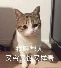 作为同性恋,你羡慕异性恋吗