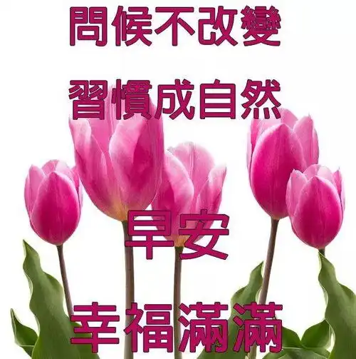 7张最新创意好看的早安问候祝福图片精选2021好看的早上好图片带字带祝福语