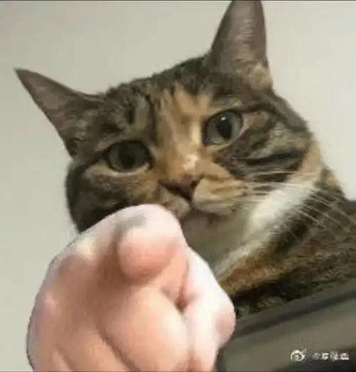 被指到的人来跟我说一下