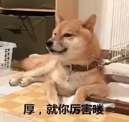 哈士奇大战柴犬,快进来收表情包啦