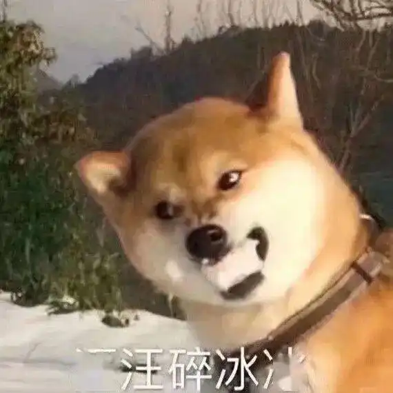 寒冬已至,你有冬季综合征吗