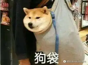 赚钱