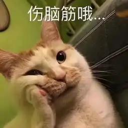 地震了,妹子家的小猫咪被吓成了这个亚子