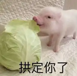 可爱猪猪表情包高清无水印下载可爱猪猪表情包高清无水印app下载可爱猪猪表情包高清无水印手机版下载