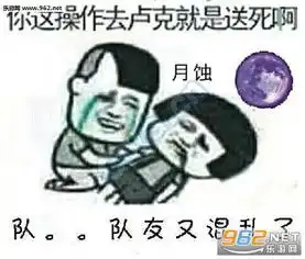 dnf你这职业去卢克就是送死啊图片你这职业去卢克表情包下载乐游网游戏下载