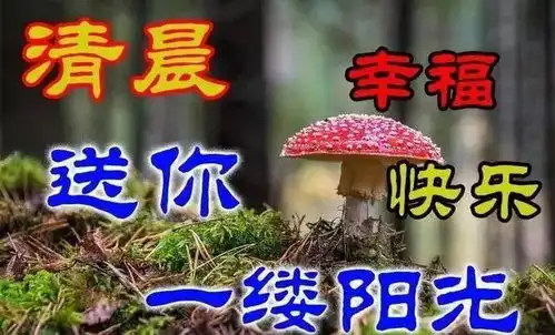 人活得再洒脱,也会有纠结路走得再顺畅,也会有颠簸,早安