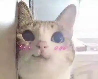 如何在在成为老师后开一个培训班