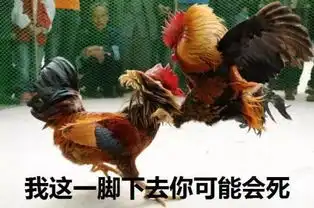 请不要再逼外国演员讲中文了泥嚎嘛听得我尴尬癌都犯了....