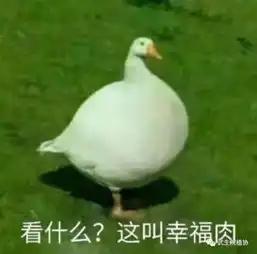 大山里的野果