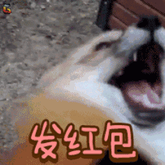 新年祝大家愿旺成真,十犬十美黄冈人拜年必备祝福语表情包,速速收藏