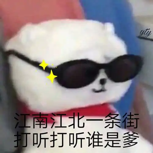 防弹少年团bt21表情包原图鸭