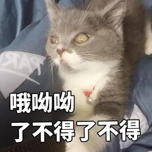 活久见钦州这辆电动车竟然有两个车牌,真是厉害了