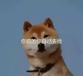 养金毛还是养边牧来看看其中的区别