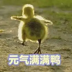 早报超有料丨毛不易清唱消愁为医护粉丝庆生第73届戛纳国际电影节或将推迟举行