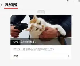 求这个头上有两个黑点的真实的猫的表情包